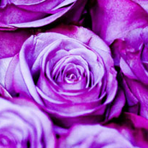 永久授权版的短信测试app