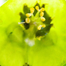 短信炸弹防护业务